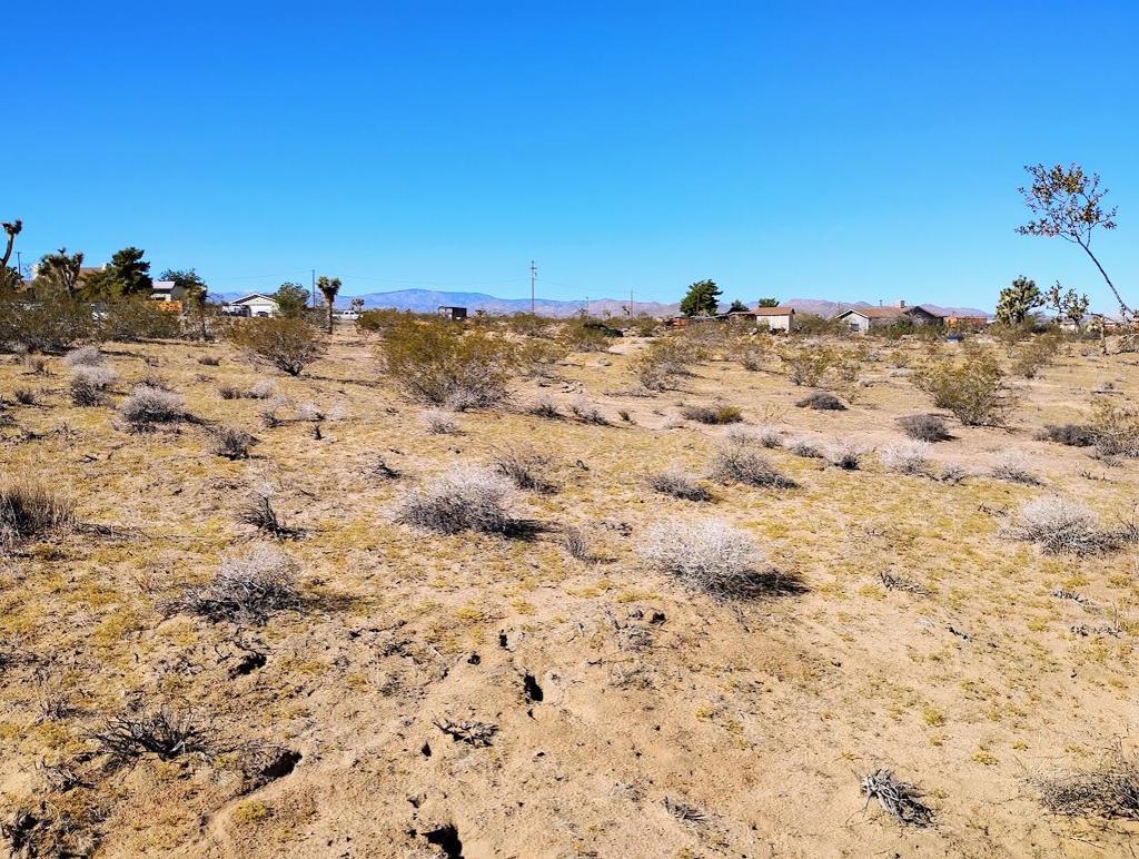 MLS #219138097DA image #16