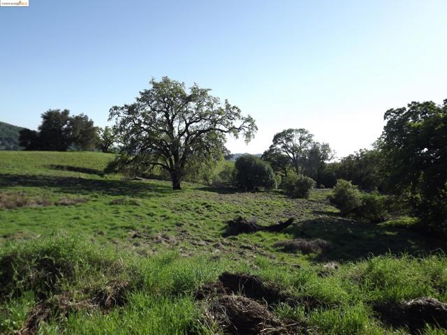 Image 3 of 11 For 39305 Pine Mountain Road