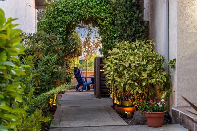 553 Saint George Rd, Danville CA: https://media.crmls.org/mediaz/755fec41-1089-4f4b-8e79-4c2d2f7db358.jpg