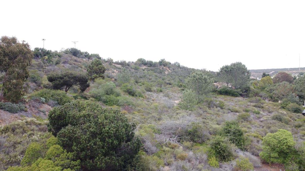 Arroyo Sorrento Pl San Diego - photo 13