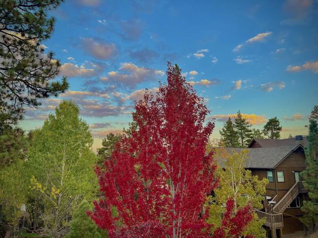 385 Sunrise Way, Big Bear, CA 92315