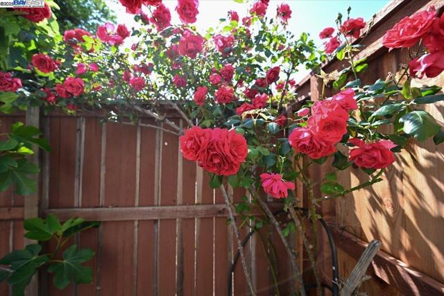 16230 Calypso Ct, San Leandro CA: https://media.crmls.org/mediaz/7588f6a5-11fe-4787-a004-97dd1a6f102f.jpg
