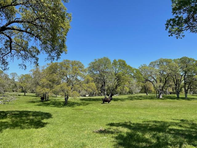 0 Cardwell Avenue, Orangevale CA: https://media.crmls.org/mediaz/758aef98-8359-4df0-b332-25bbc9cbc9ed.jpg