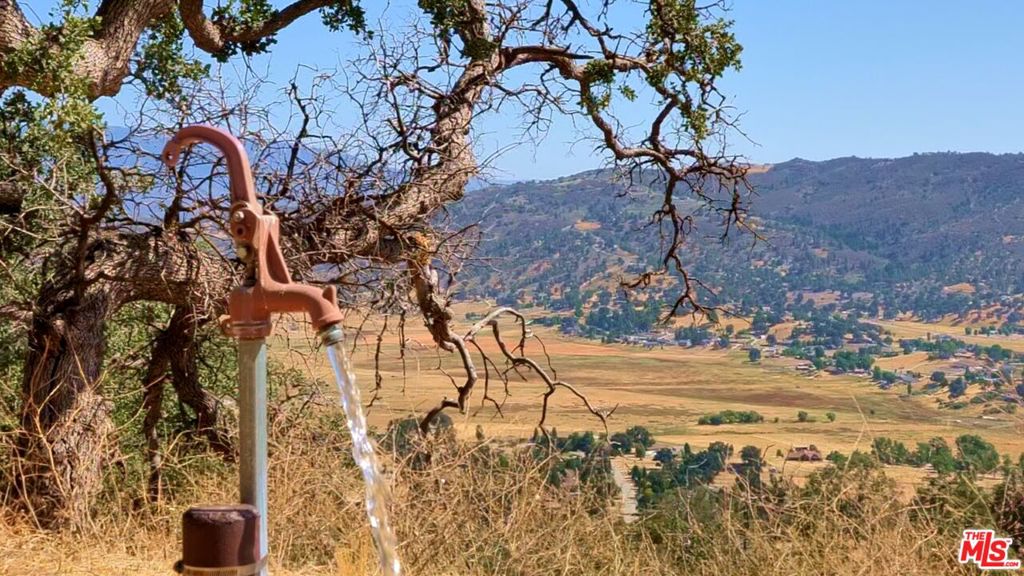 MLS #25613265 image #5