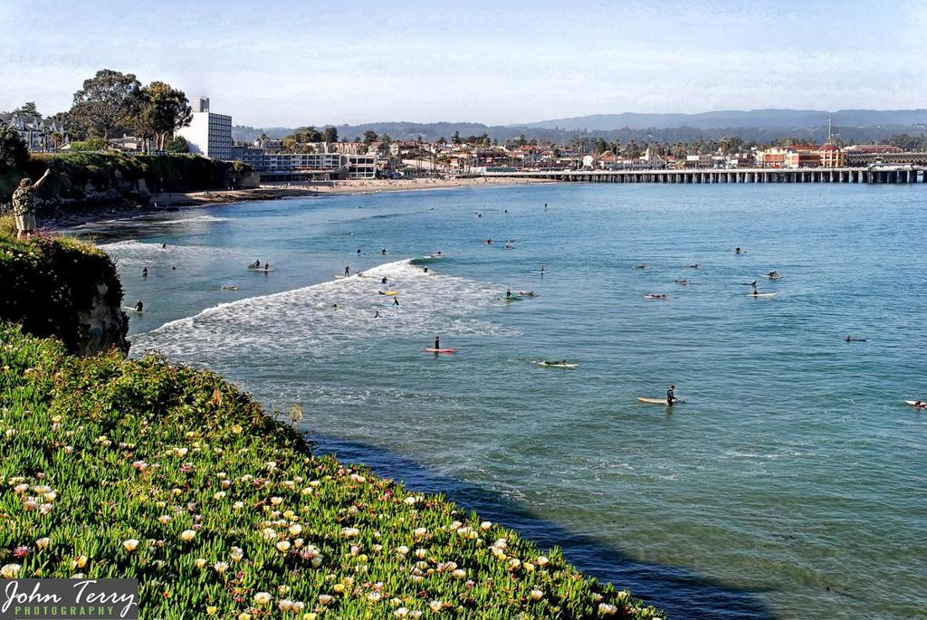 MLS #ML81910471 image #67