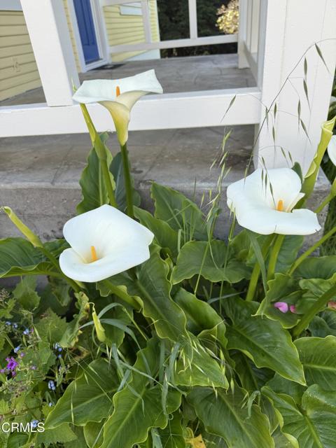 596 S Sanderson Way, Fort Bragg CA: https://media.crmls.org/mediaz/75af81df-1832-4bba-8662-11fd146cb833.jpg