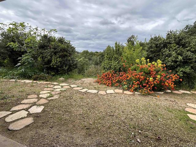 2566 Los Cerritos Ln, Fallbrook CA: https://media.crmls.org/mediaz/75b16ccc-690b-49e4-8af0-4bef9c63a5cc.jpg