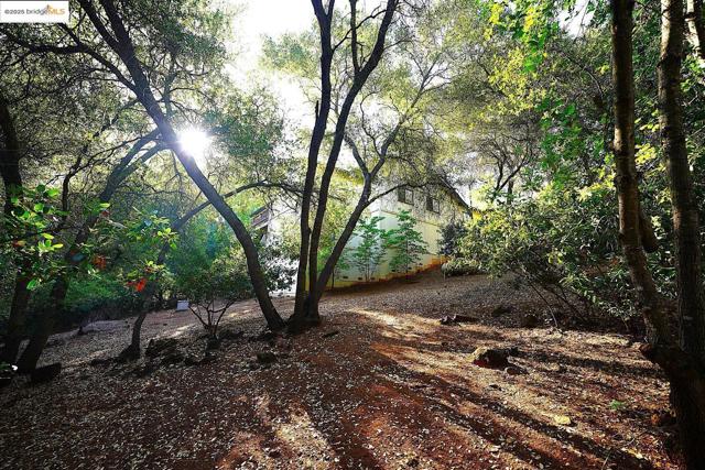 3196 Sudbury RD, Cameron Park CA: https://media.crmls.org/mediaz/75b7a619-1502-4d9d-ace2-fd999608008c.jpg