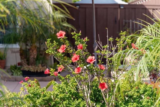 Detail Gallery Image 8 of 56 For 3732 via Cabrillo, Oceanside,  CA 92056 - 3 Beds | 3 Baths