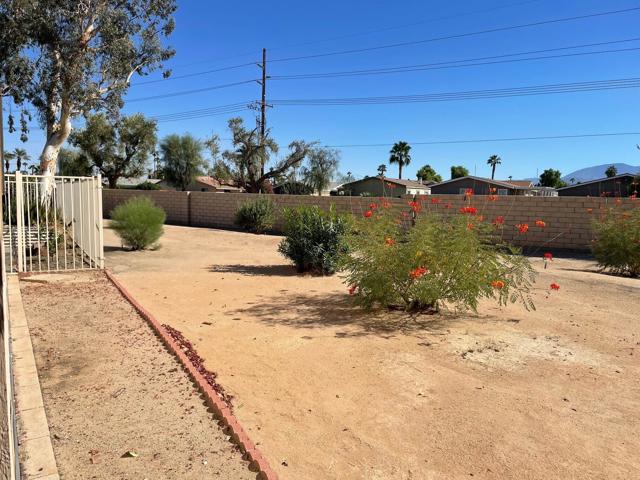 11.6 baack yard and pet area