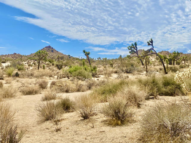 104 Bandera Road, Yucca Valley CA: https://media.crmls.org/mediaz/75cb3cca-c81d-4e83-b82e-4979e4783824.jpg