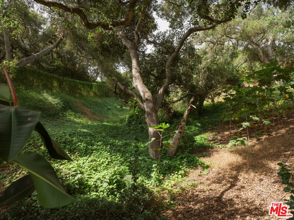 https://media.crmls.org/mediaz/75d923ae-c854-4879-9669-b9d9ae711005.jpg?preset=X-Large