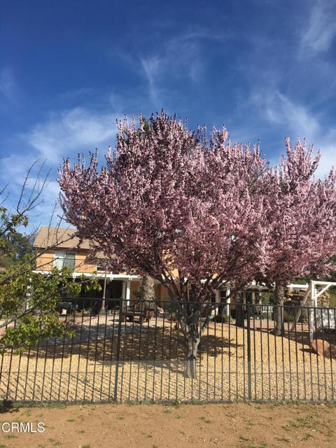 35135 Caprock Road, Santa Clarita CA: https://media.crmls.org/mediaz/75d9d32f-1df9-4df4-ac4a-406de0acb0c8.jpg