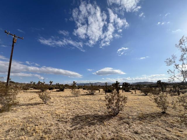 0 Campanula Street, Yucca Valley CA: https://media.crmls.org/mediaz/75da5627-23bc-467a-9bf9-a9644c18f256.jpg