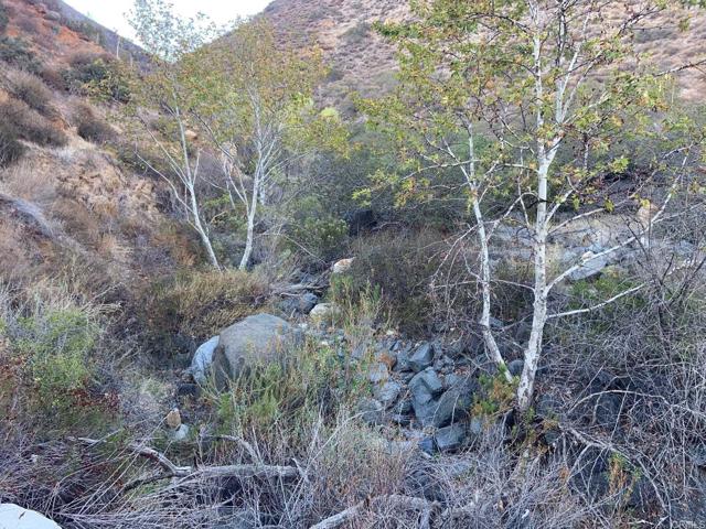 Detail Gallery Image 19 of 22 For Barrett Lake Rd, Jamul,  CA 91935 - – Beds | – Baths