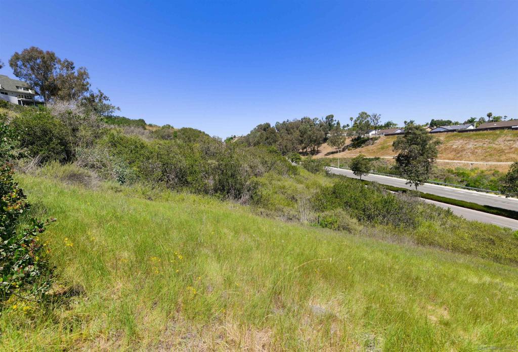 El Camino Real Carlsbad - photo 9