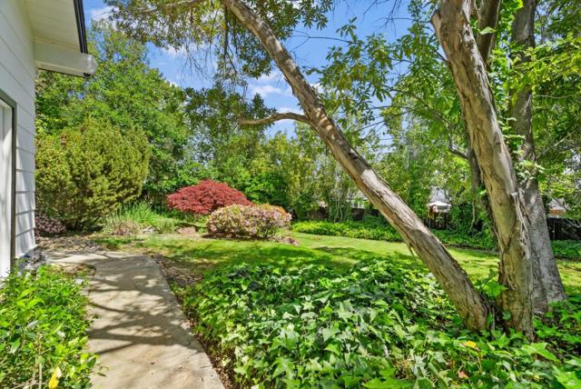 2344 Deodara Drive, Los Altos CA: https://media.crmls.org/mediaz/75f2c65c-8d3a-40e1-b1ef-a3fd207c7453.jpg