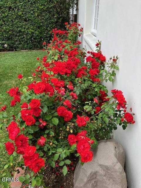 1779 Morada Place, Altadena CA: https://media.crmls.org/mediaz/75f8cae5-9bee-41cb-948e-227fcdc06b27.jpg