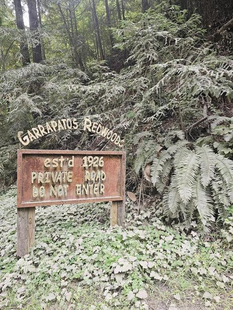 0 Garrapatos Redwood Trail, Carmel CA: https://media.crmls.org/mediaz/75fdff61-e202-43f6-a203-d9a085131743.jpg