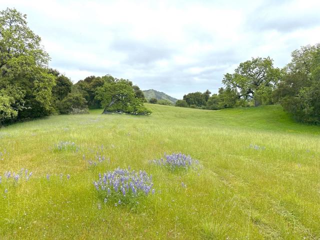 29 Arroyo Sequoia, Carmel CA: https://media.crmls.org/mediaz/760a2eb4-cab3-4071-a9c3-f5fa8c857559.jpg