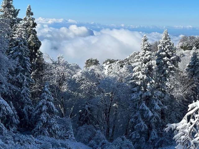 Detail Gallery Image 42 of 51 For 22209 Crestline Rd, Palomar Mountain,  CA 92060 - 3 Beds | 1/1 Baths