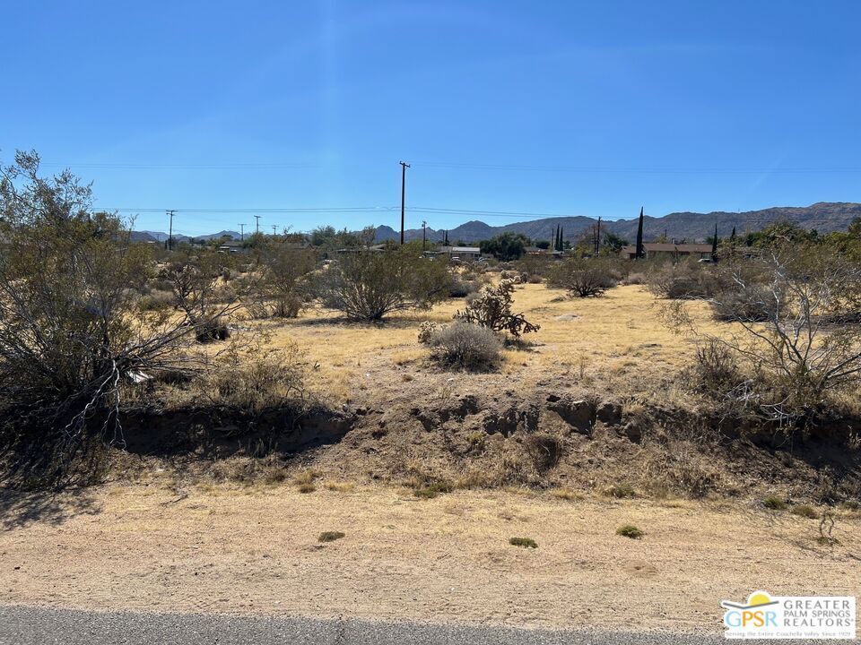 MLS #25560543PS image #4