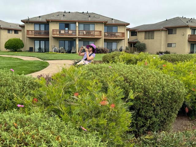 522 Seascape Resort Drive, Aptos CA: https://media.crmls.org/mediaz/76206733-926b-4cb1-87ba-6c23a4be1a1a.jpg