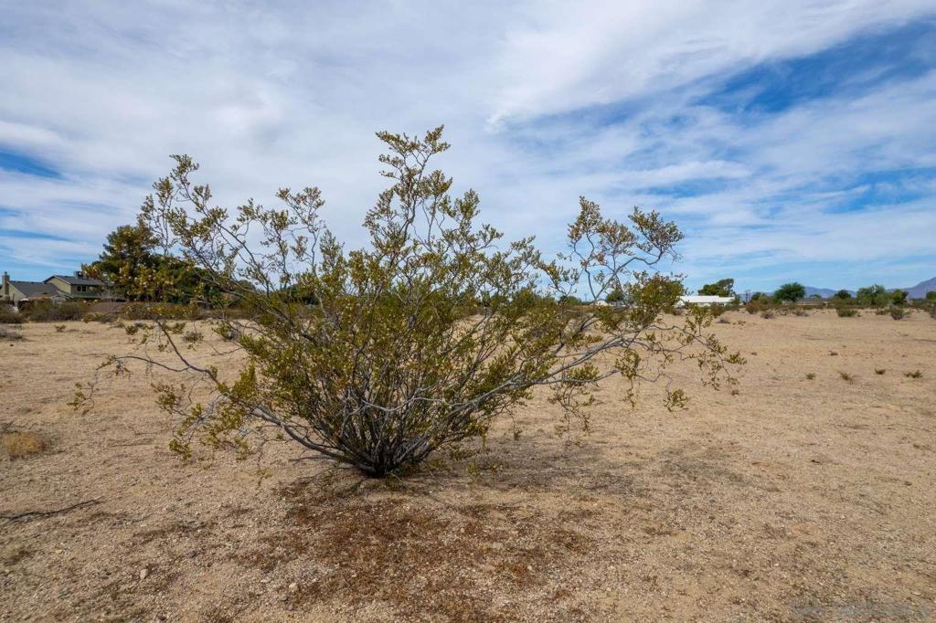 MLS #250035441SD image #22