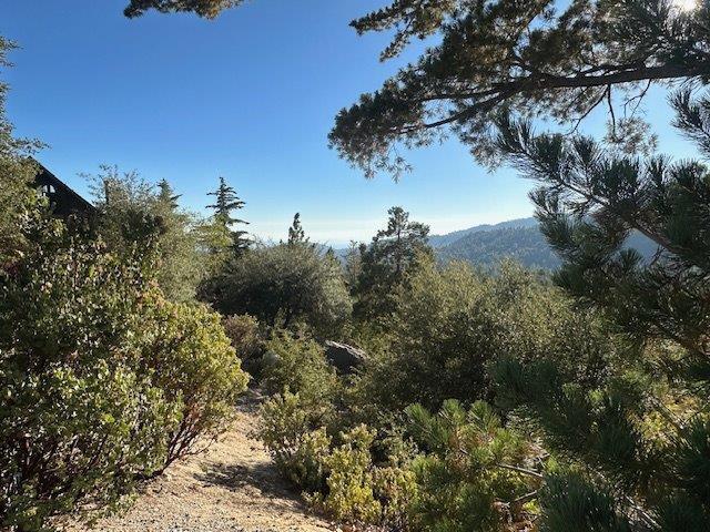 0 Howland Road, Idyllwild CA: https://media.crmls.org/mediaz/76234129-5d17-4278-96a4-e904b8e9e5bb.jpg