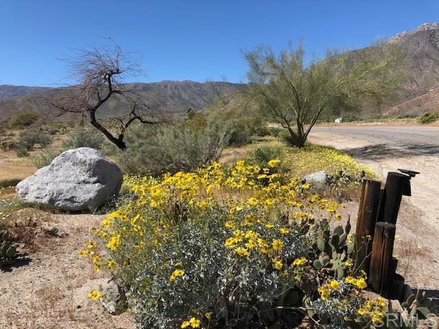 Detail Gallery Image 36 of 43 For 2207 Hoberg Rd, Borrego Springs,  CA 92004 - 2 Beds | 2 Baths