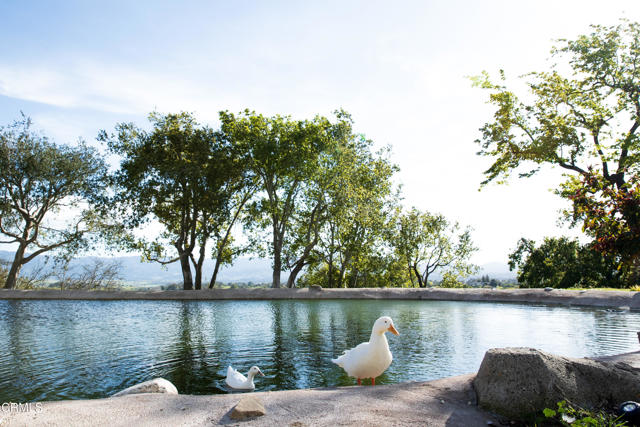 Detail Gallery Image 37 of 54 For 3570 Woodstock Rd, Santa Ynez,  CA 93460 - 6 Beds | 5/1 Baths