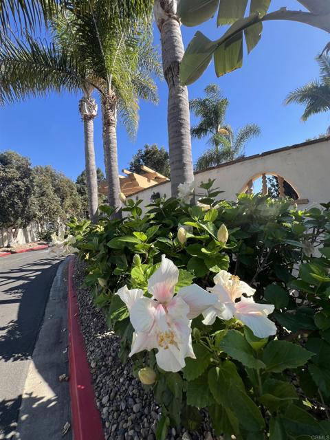 Detail Gallery Image 2 of 16 For 4241 Loma Riviera Ln, San Diego,  CA 92110 - 3 Beds | 2 Baths