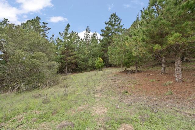 0 Campagna Way, Royal Oaks CA: https://media.crmls.org/mediaz/762f3e38-9066-4873-84f5-8c4b9686fe12.jpg