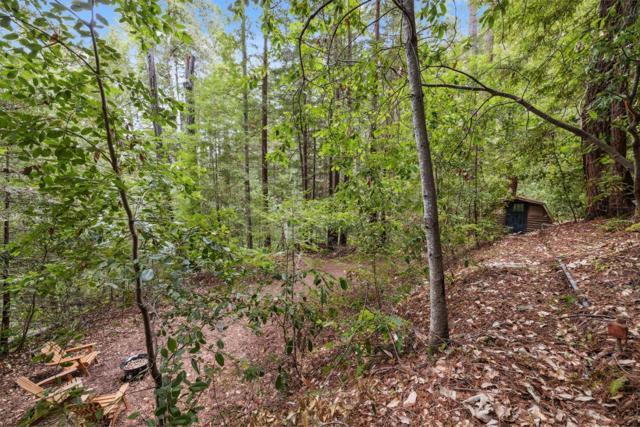 1365 Caledonia Avenue, Ben Lomond CA: https://media.crmls.org/mediaz/7635e654-865b-4cbd-b183-85ef79433f39.jpg