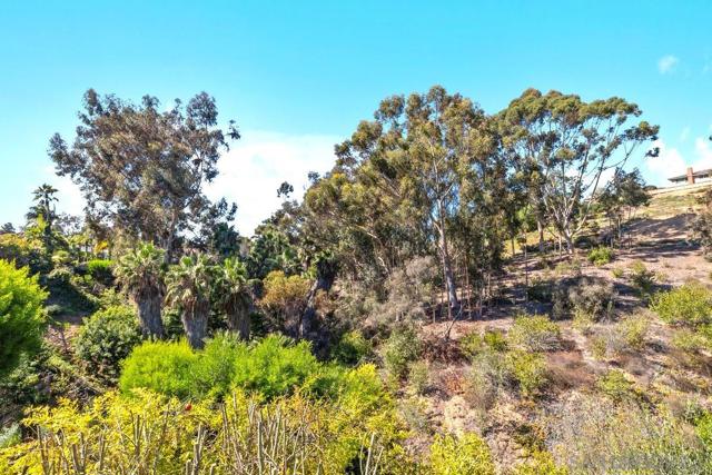 3426 Millikin Ave, San Diego CA: https://media.crmls.org/mediaz/763f300f-a310-4638-a1f6-277b35ca9044.jpg