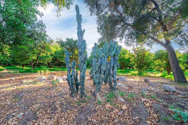 Detail Gallery Image 73 of 73 For 35173 Rincon Springs Rd, Pauma Valley,  CA 92061 - 4 Beds | 3 Baths