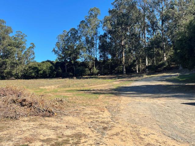 319 Echo Valley Road, Salinas CA: https://media.crmls.org/mediaz/7657d220-1a87-4a6b-a1bf-6b120fe50584.jpg