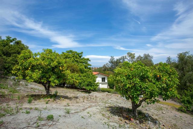 28628 Mountain Meadow Rd, Escondido CA: https://media.crmls.org/mediaz/76586a37-13e9-45c4-a78e-c84e10ea40a6.jpg