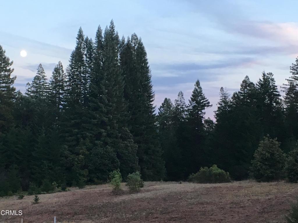 https://media.crmls.org/mediaz/7658e97c-cddb-4480-aed5-e744f25adfd2.jpg?preset=X-Large