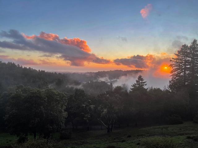 1584 Tindall Ranch Road, Corralitos CA: https://media.crmls.org/mediaz/765d9ff7-d2a8-4e0b-a0bc-9bb015cdaa67.jpg