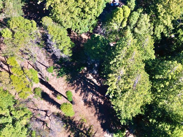 80 Conifer Lane, Santa Cruz CA: https://media.crmls.org/mediaz/7660e4ce-f816-4dd1-b200-2dd50a37316e.jpg