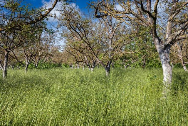 79547958 Lovers Lane, Hollister CA: https://media.crmls.org/mediaz/76623cad-b6e9-4754-a332-e2ed7226b6b2.jpg