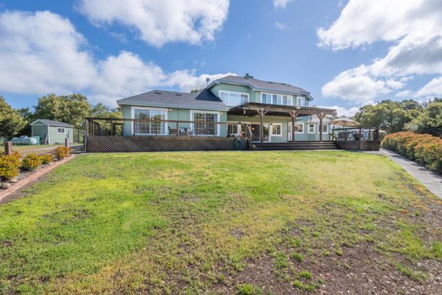378 Crazy Horse Canyon Road, Salinas CA: https://media.crmls.org/mediaz/76742369-88ba-4a63-9645-7908b12aa227.jpg