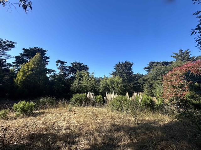 0 Castle DR, Oakland CA: https://media.crmls.org/mediaz/7674ce14-e386-4d97-9e4e-a2ed9e4017ea.jpg