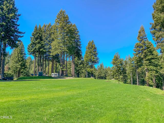15137 Mitchell Creek Drive, Fort Bragg CA: https://media.crmls.org/mediaz/769f0d95-b4c9-40a9-9d27-32ef7727f5dd.jpg