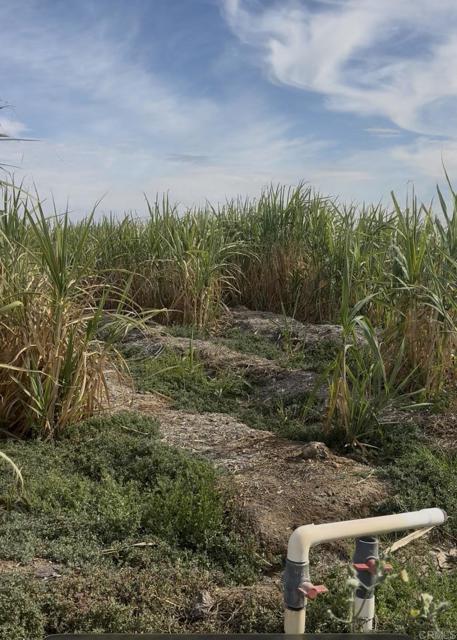 Detail Gallery Image 25 of 30 For 2310 W Highway 86 Rd, Brawley,  CA 92227 - 3 Beds | 2 Baths