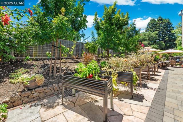 3121 Del Oceano Dr, Lafayette CA: https://media.crmls.org/mediaz/76cb920a-828e-4b73-8fb5-6ee6a4adc2f7.jpg