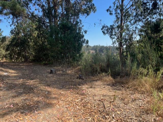 0 Castroville Boulevard, Salinas CA: https://media.crmls.org/mediaz/76d6c6e2-acd9-4783-965d-d153ab5db835.jpg