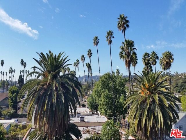 5640 Franklin Avenue, Los Angeles CA: https://media.crmls.org/mediaz/76e2a87b-e62d-49cc-b4bc-2b280591f3a1.jpg