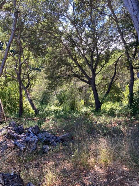 514 Meder Street, Santa Cruz CA: https://media.crmls.org/mediaz/76e3f2b9-4f1a-4d87-8552-efdf71f7202c.jpg